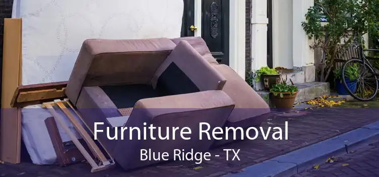 Furniture Removal Blue Ridge - TX