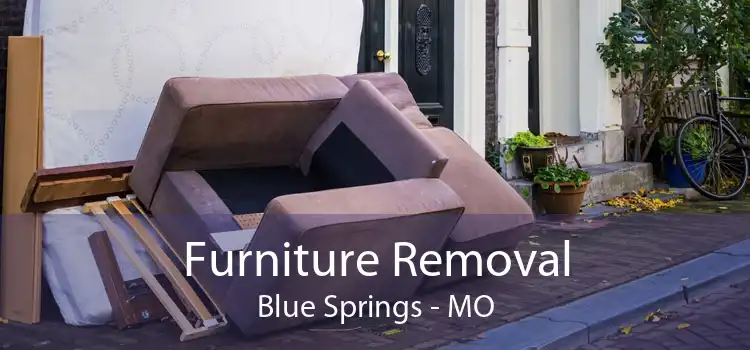 Furniture Removal Blue Springs - MO