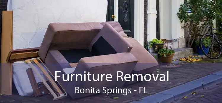 Furniture Removal Bonita Springs - FL