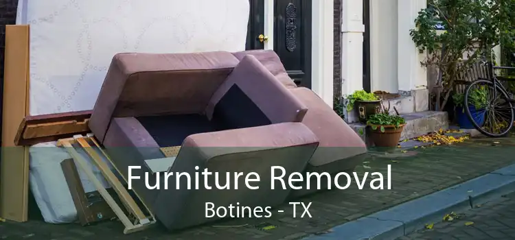 Furniture Removal Botines - TX