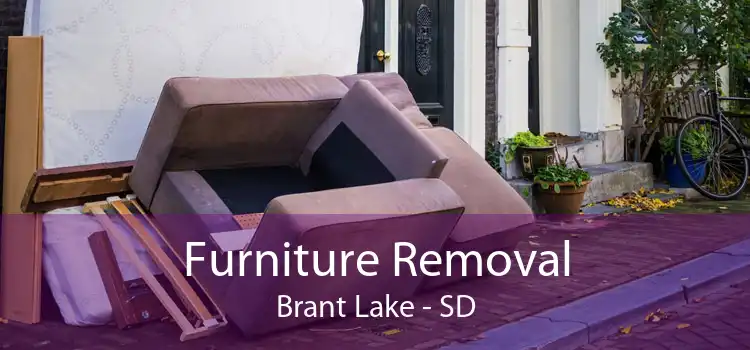 Furniture Removal Brant Lake - SD