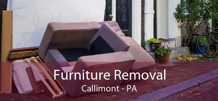 Furniture Removal Callimont - PA
