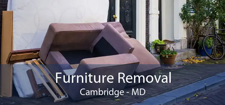 Furniture Removal Cambridge - MD