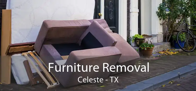 Furniture Removal Celeste - TX