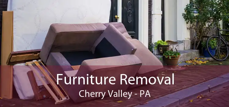 Furniture Removal Cherry Valley - PA