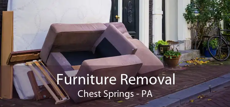 Furniture Removal Chest Springs - PA