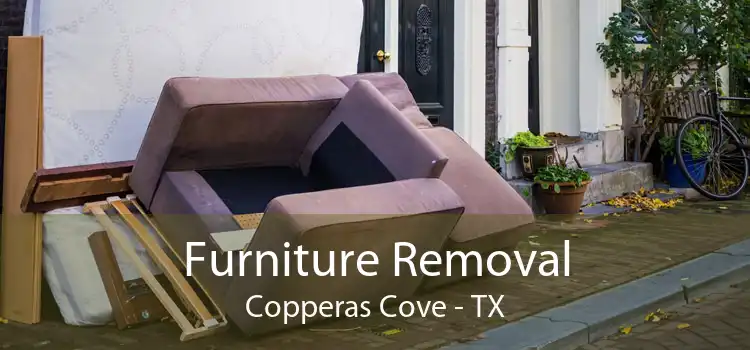 Furniture Removal Copperas Cove - TX