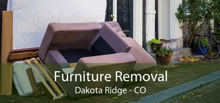 Furniture Removal Dakota Ridge - CO