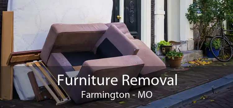 Furniture Removal Farmington - MO