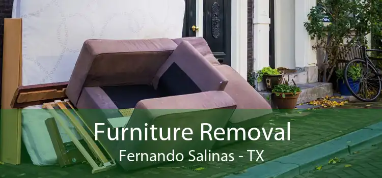 Furniture Removal Fernando Salinas - TX