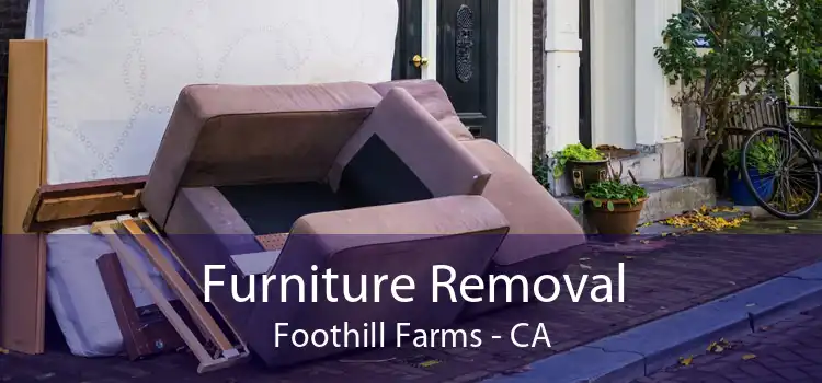Furniture Removal Foothill Farms - CA