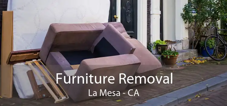 Furniture Removal La Mesa - CA
