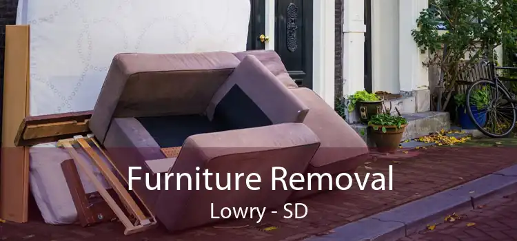Furniture Removal Lowry - SD