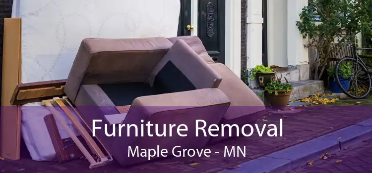 Furniture Removal Maple Grove - MN