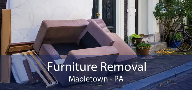 Furniture Removal Mapletown - PA