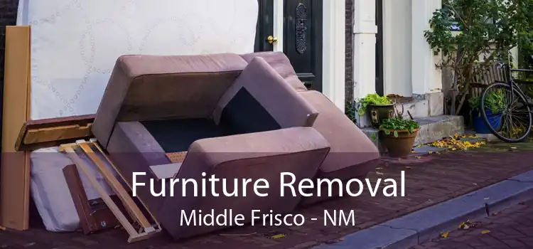 Furniture Removal Middle Frisco - NM