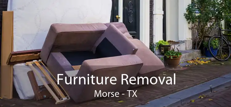 Furniture Removal Morse - TX