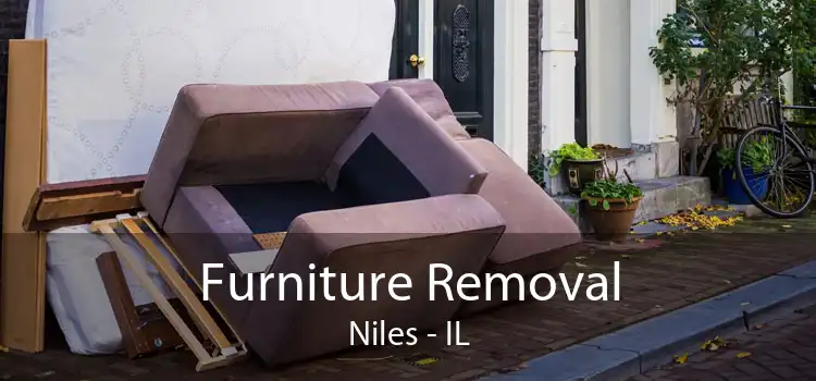Furniture Removal Niles - IL