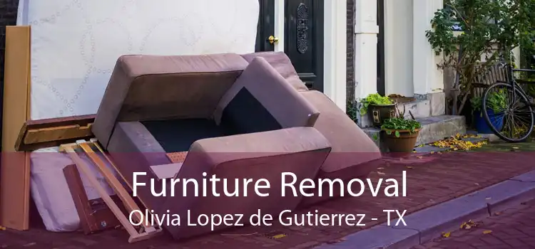 Furniture Removal Olivia Lopez de Gutierrez - TX