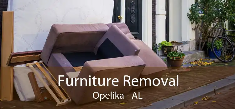 Furniture Removal Opelika - AL