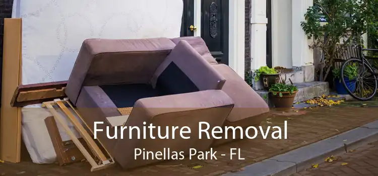 Furniture Removal Pinellas Park - FL