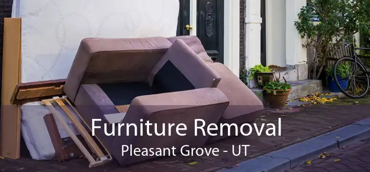 Furniture Removal Pleasant Grove - UT