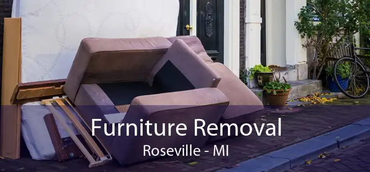 Furniture Removal Roseville - MI