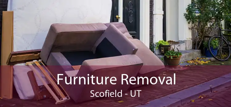 Furniture Removal Scofield - UT
