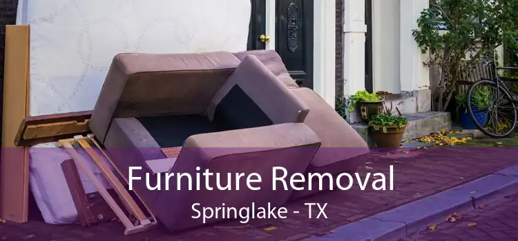 Furniture Removal Springlake - TX