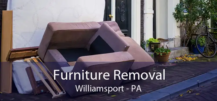 Furniture Removal Williamsport - PA