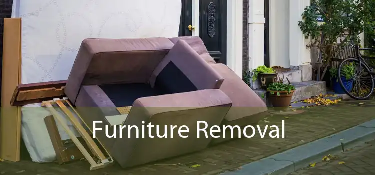 Furniture Removal 