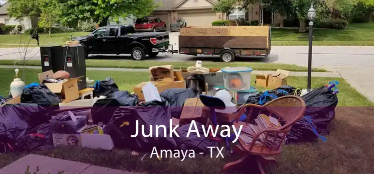 Junk Away Amaya - TX