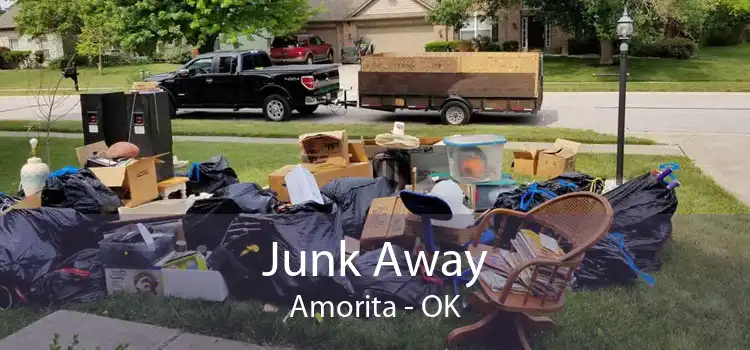 Junk Away Amorita - OK