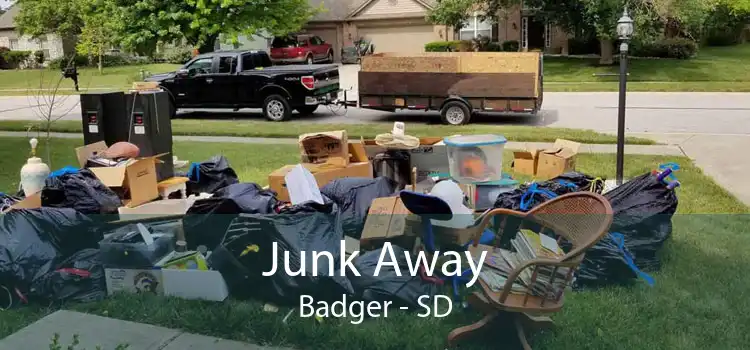 Junk Away Badger - SD