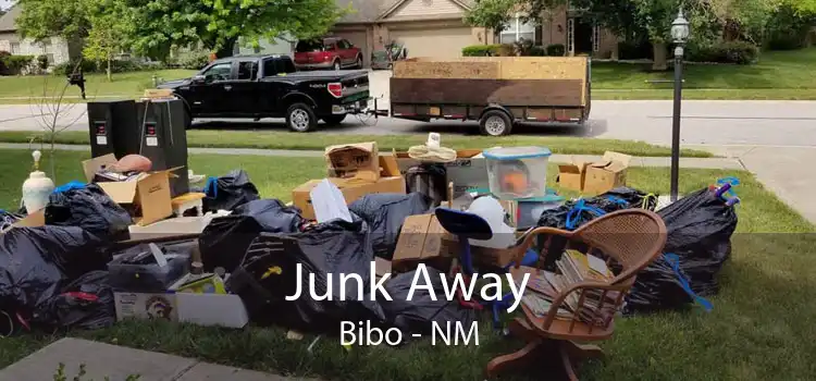 Junk Away Bibo - NM