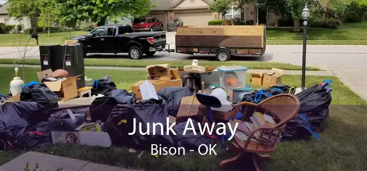 Junk Away Bison - OK