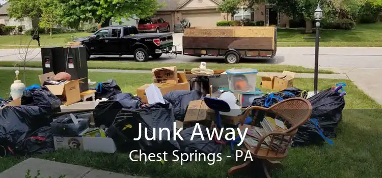 Junk Away Chest Springs - PA