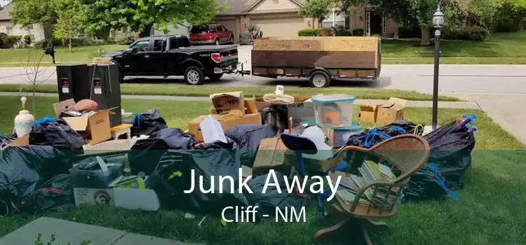Junk Away Cliff - NM