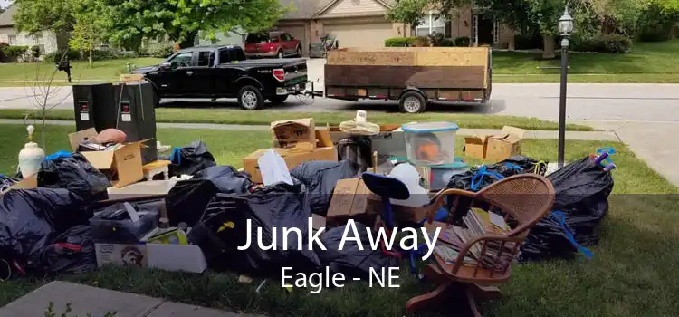 Junk Away Eagle - NE