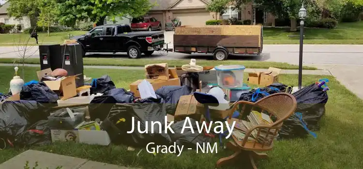 Junk Away Grady - NM
