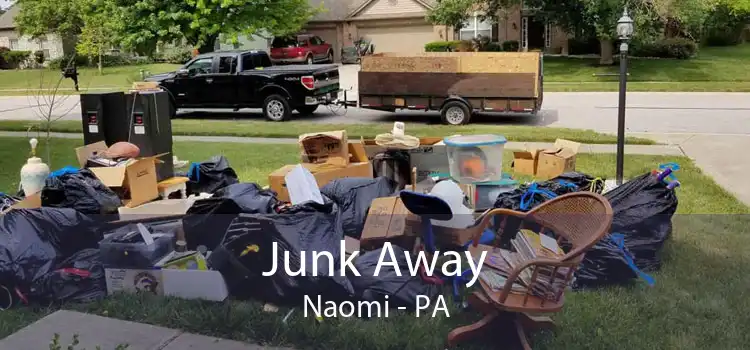 Junk Away Naomi - PA