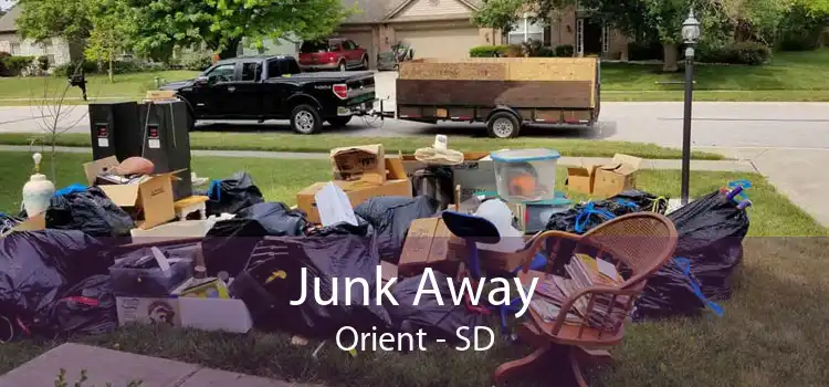 Junk Away Orient - SD