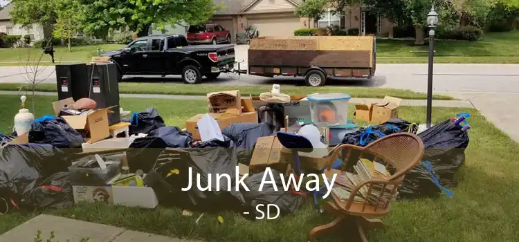 Junk Away  - SD