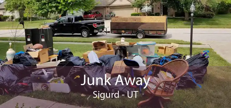 Junk Away Sigurd - UT