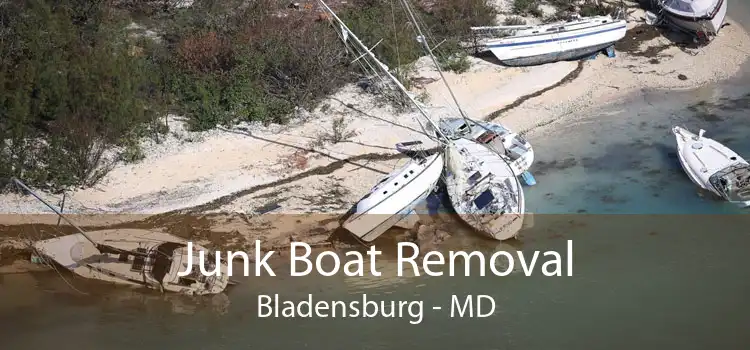 Junk Boat Removal Bladensburg - MD