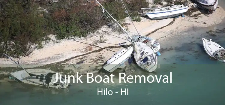 Junk Boat Removal Hilo - HI