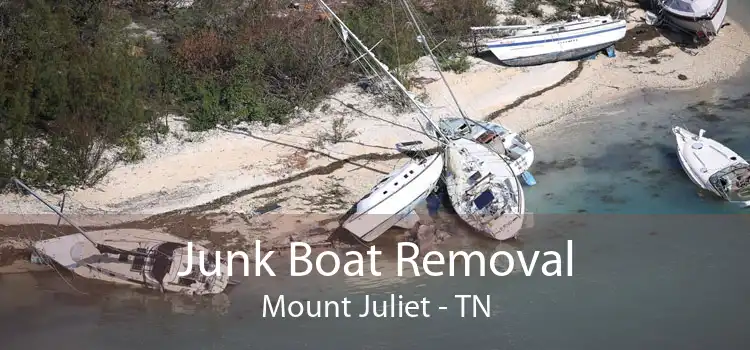 Junk Boat Removal Mount Juliet - TN