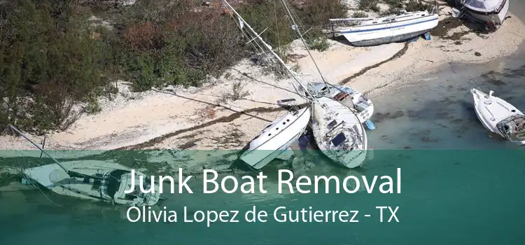 Junk Boat Removal Olivia Lopez de Gutierrez - TX