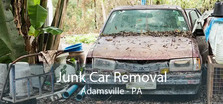 Junk Car Removal Adamsville - PA