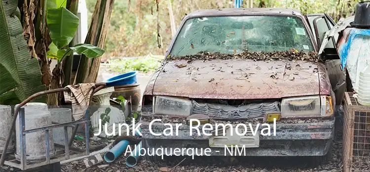 Junk Car Removal Albuquerque - NM